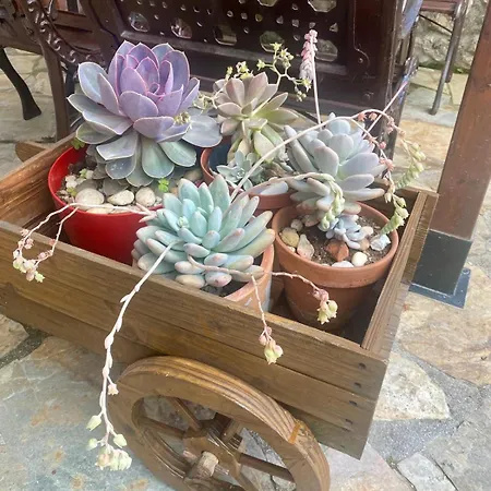 Fogadó Rural La Pena Casares *