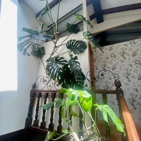 Kro Rural La Pena Casares La Revilla (San Vicente de la Barquera)