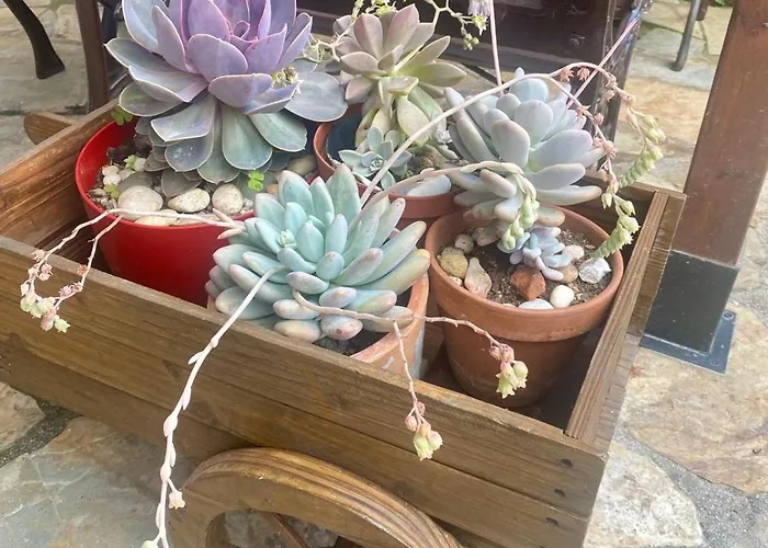 Inn Rural La Peña Casares *