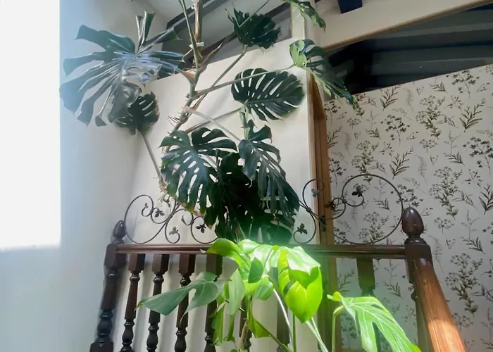 Inn Rural La Peña Casares La Revilla (San Vicente de la Barquera)